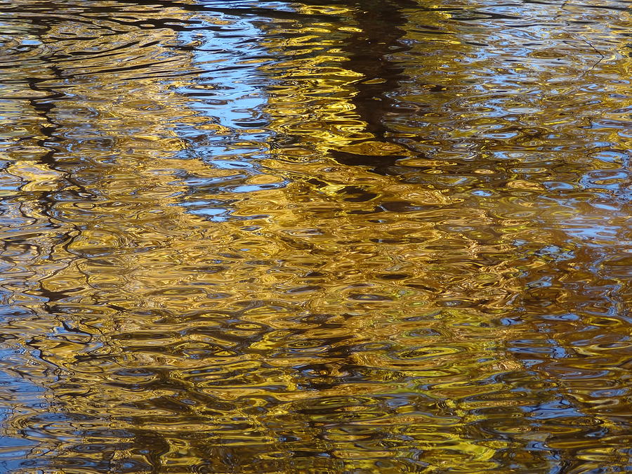 Water Reflection I Photograph by Lanita Williams