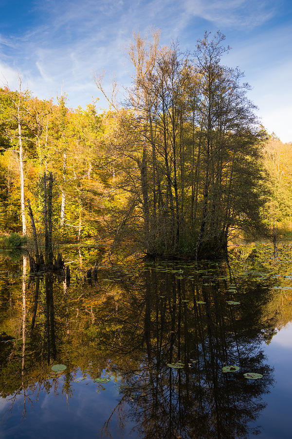 Water reflection in autumn Photograph by Matthias Hauser