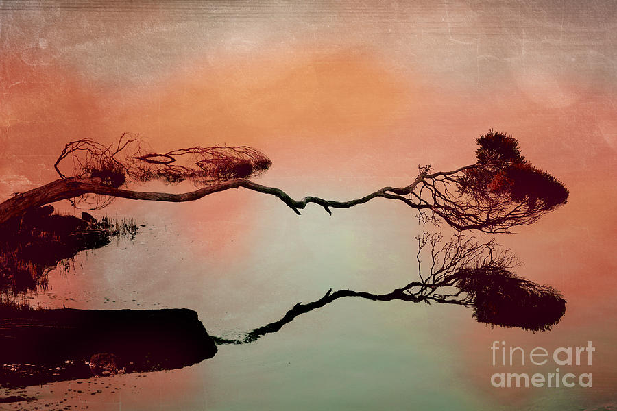 Nature Digital Art - Water Reflection by Phill Petrovic