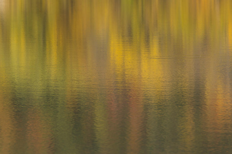 Fall Photograph - Water Reflections Abstract Autumn 2 D by John Brueske
