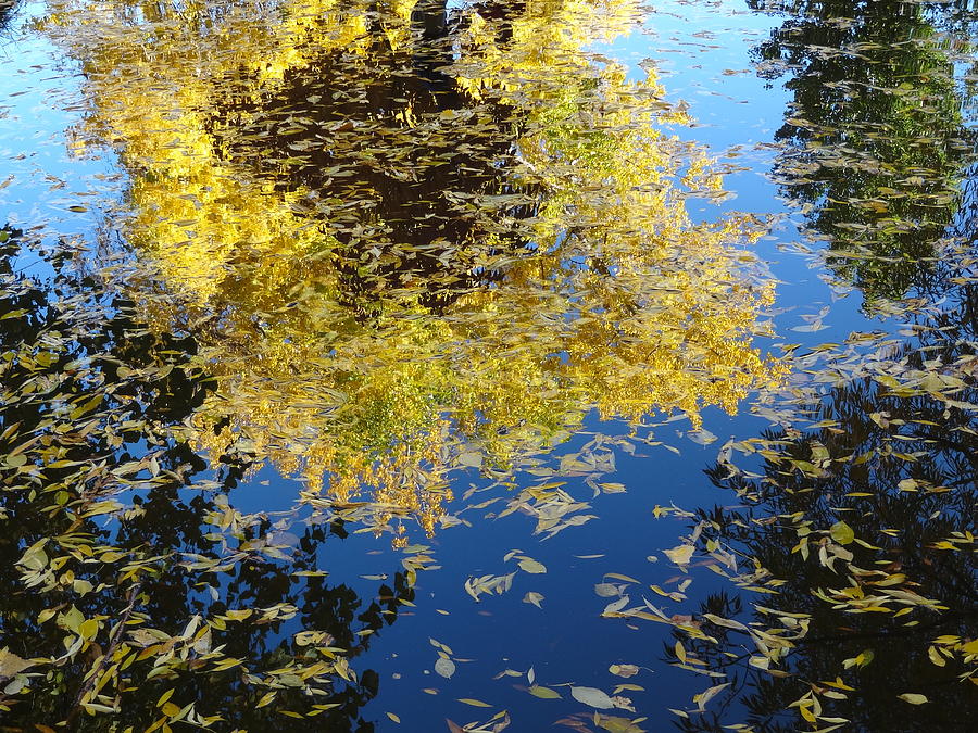 Water Reflections II Photograph by Lanita Williams