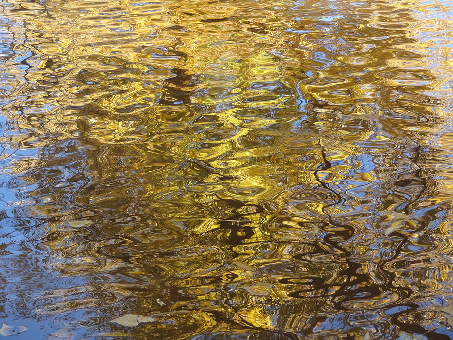 Water Reflections III Photograph by Lanita Williams