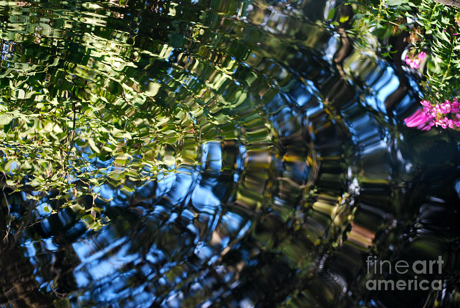 Nature Photograph - Water Reflections 5 by Nancy Mueller