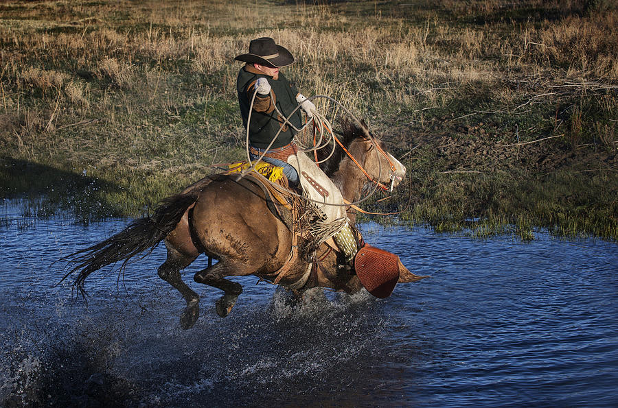 Horse Photograph - Water Roper by Pamela Steege