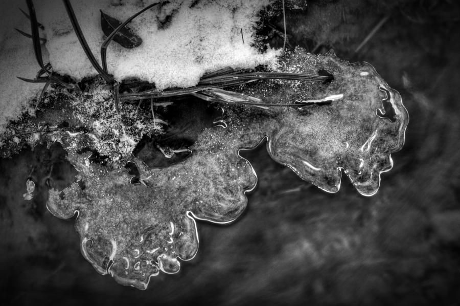 Water Snow and Ice Along the Creek in Black and White Photograph by Greg and Chrystal Mimbs