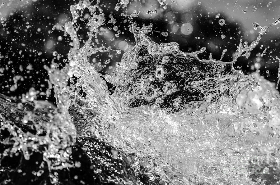 Water Splash Photograph by JT Lewis