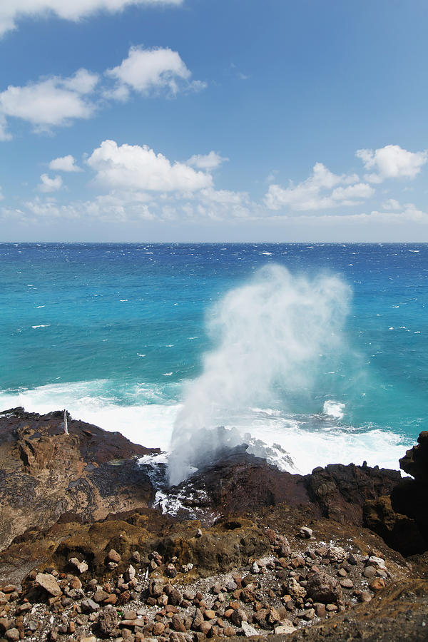 Water Sprays Out Of A Blowhole On The Photograph by Brandon Tabiolo / Design Pics Water Sprays Out Of A Blowhole On The Photograph by Brandon Tabiolo / Design Pics