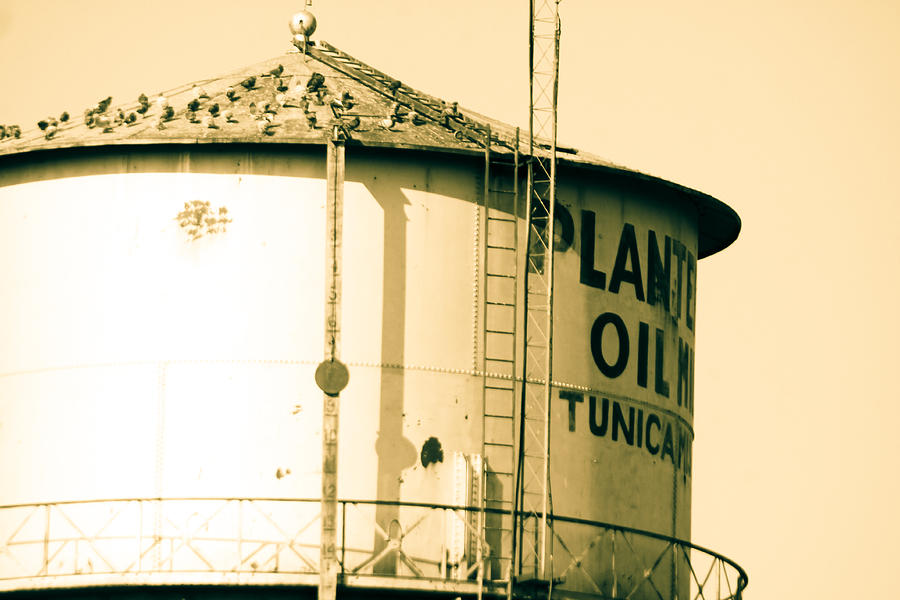 Bird Photograph - Water Tower in Sepia by Audreen Gieger