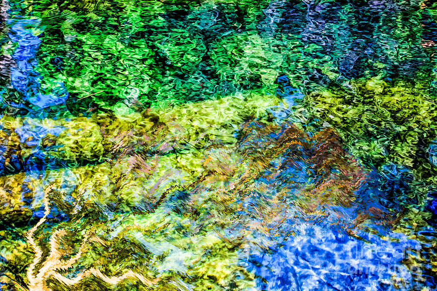 Water Tree Reflections Digital Art by Georgianne Giese
