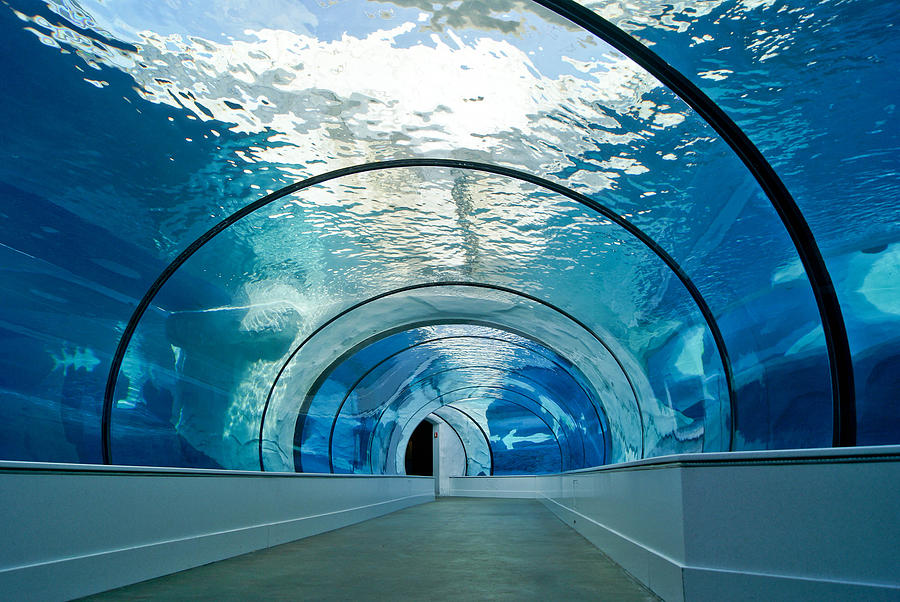 Water Tunnel Photograph by Dawn Williams