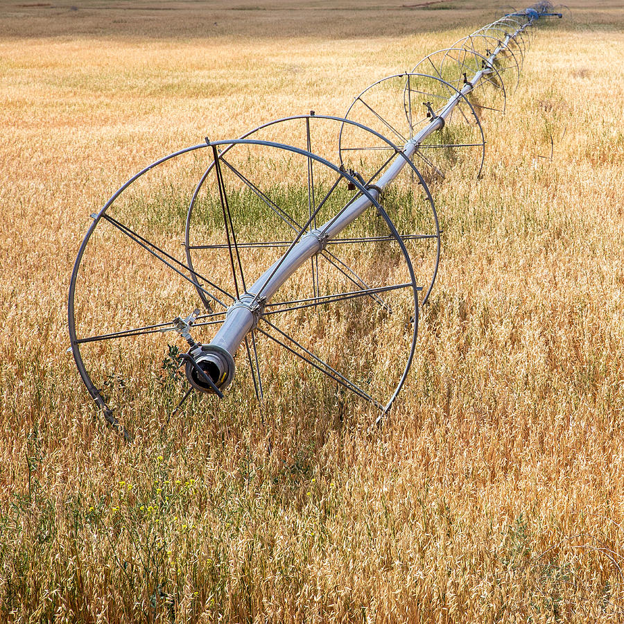 Farm Photograph - Water Wheel by Peter Tellone