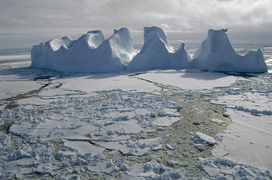 Water Worn Iceberg In Sea Ice Lazarev Photograph by Tui De Roy