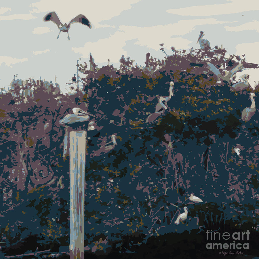 Abstract Photograph - Waterbirds5 by Megan Dirsa-DuBois