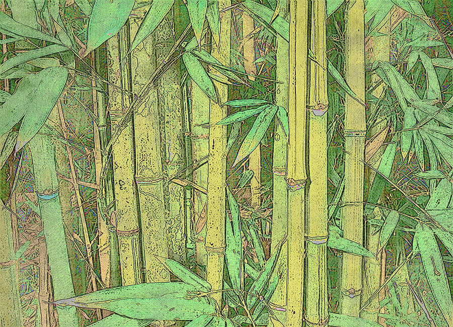 Abstract Digital Art - Watercolor Bamboo 4 by Robin Curtiss