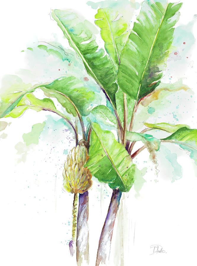 Banana Painting - Watercolor Banana Plantain by Patricia Pinto