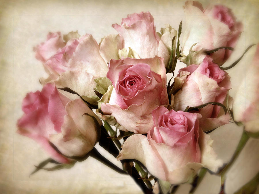 Watercolor Bouquet Photograph by Jessica Jenney