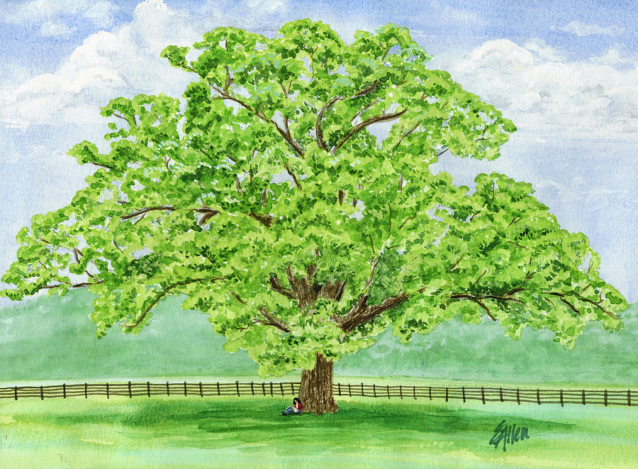 Landscape Painting - Watercolor - Brentwood Bur Oak by Elaine Allen Landscape Painting - Watercolor - Brentwood Bur Oak by Elaine Allen