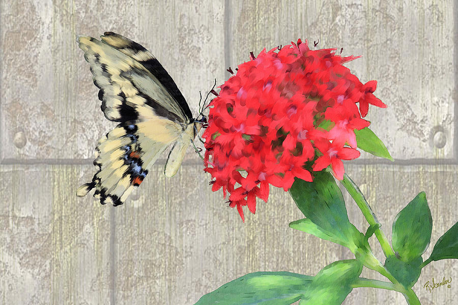 Watercolor Butterfly Two Mixed Media by Rosalie Scanlon