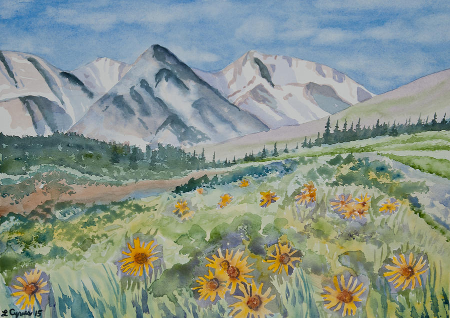 Watercolor - Colorado Alpine Sunflower Landscape Painting by Cascade Colors