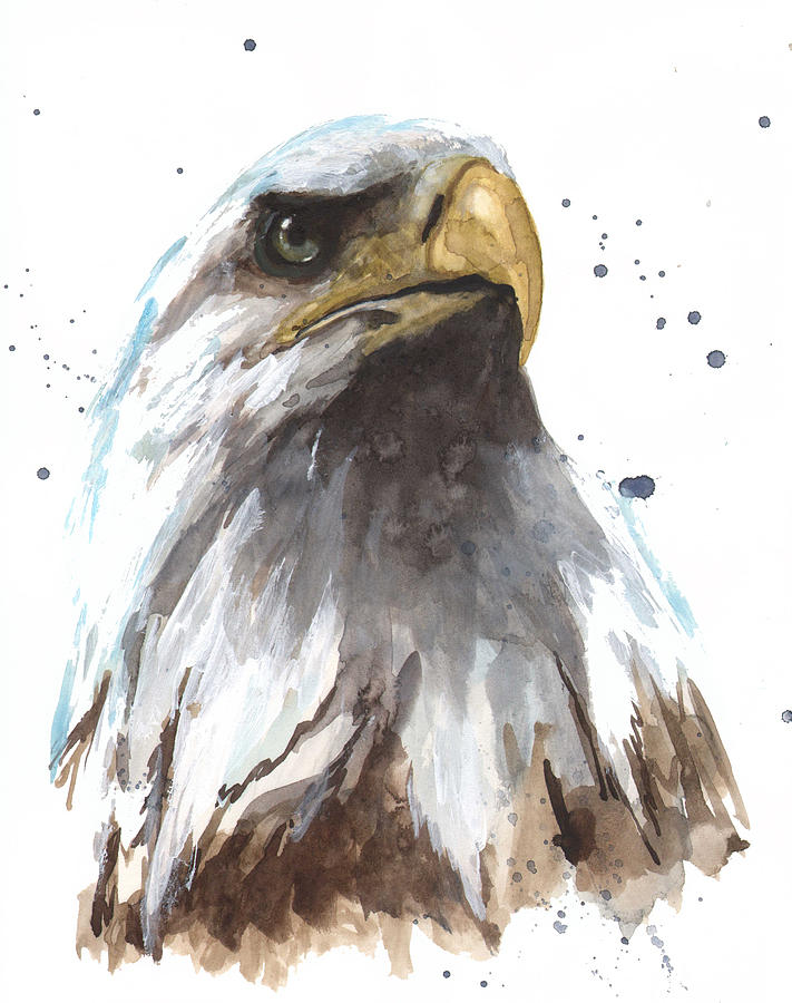 Eagle Painting - Watercolor Eagle by Alison Fennell