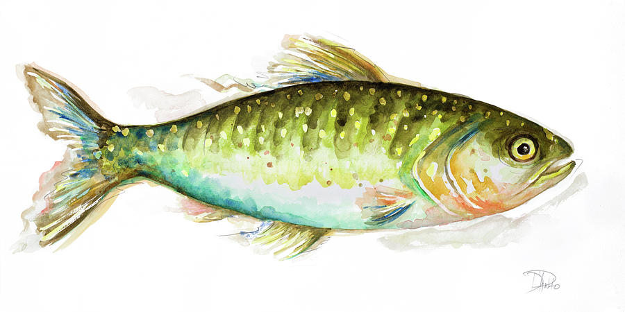 Fish Painting - Watercolor Fish II by Patricia Pinto