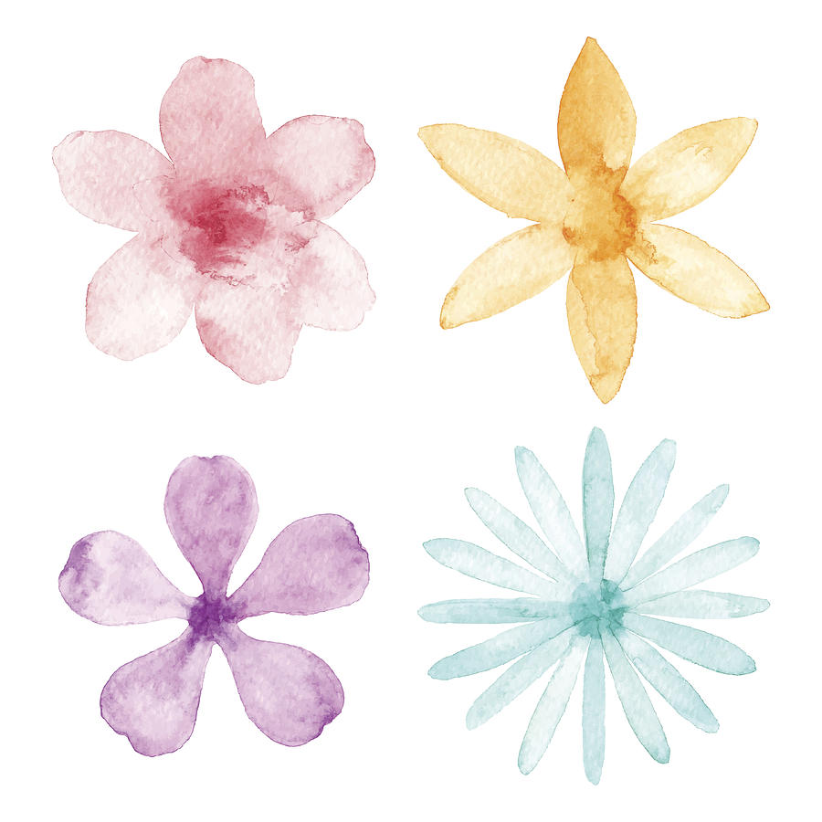Watercolor Flowers Drawing by Saemilee