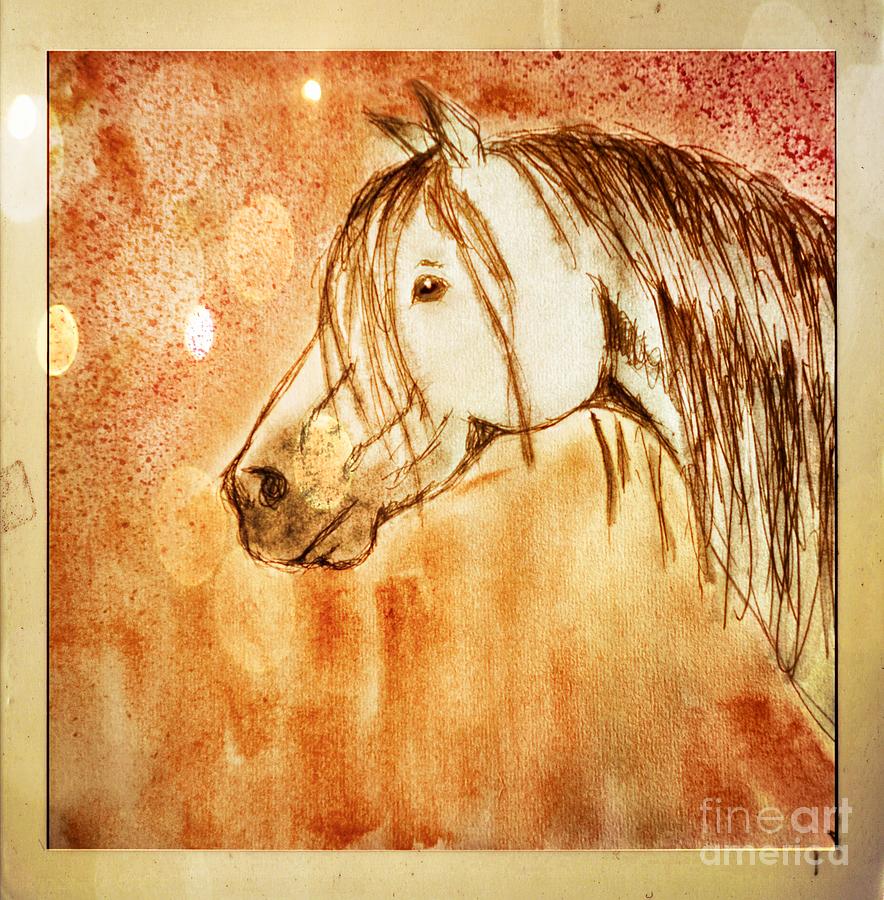 Watercolor horse head - digital effect 1 Photograph by Debbie Portwood