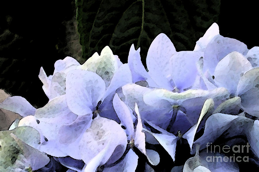 Watercolor Hydrangea Photograph by Kathi Shotwell