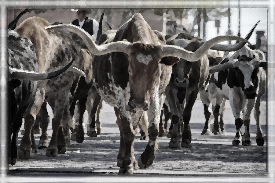 Fort Worth Photograph - Watercolor Longhorns by Joan Carroll