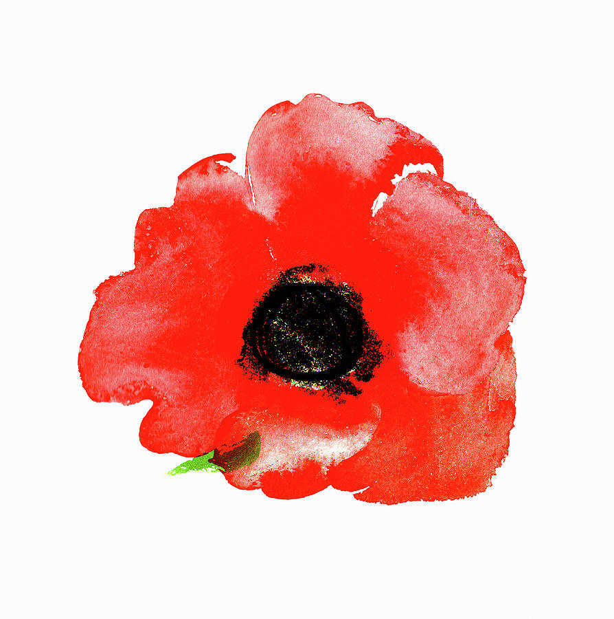 Watercolor Painting Of Red Poppy Painting by Ikon Images