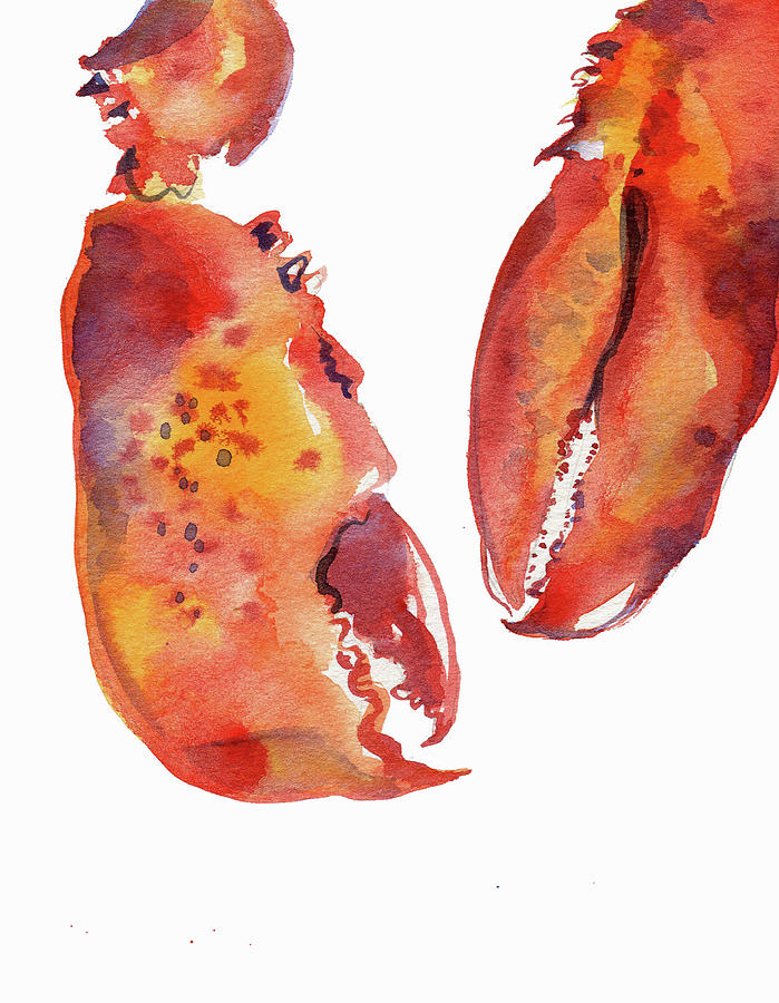 Watercolor Painting Of Two Lobster Claws Painting by Ikon Ikon Images