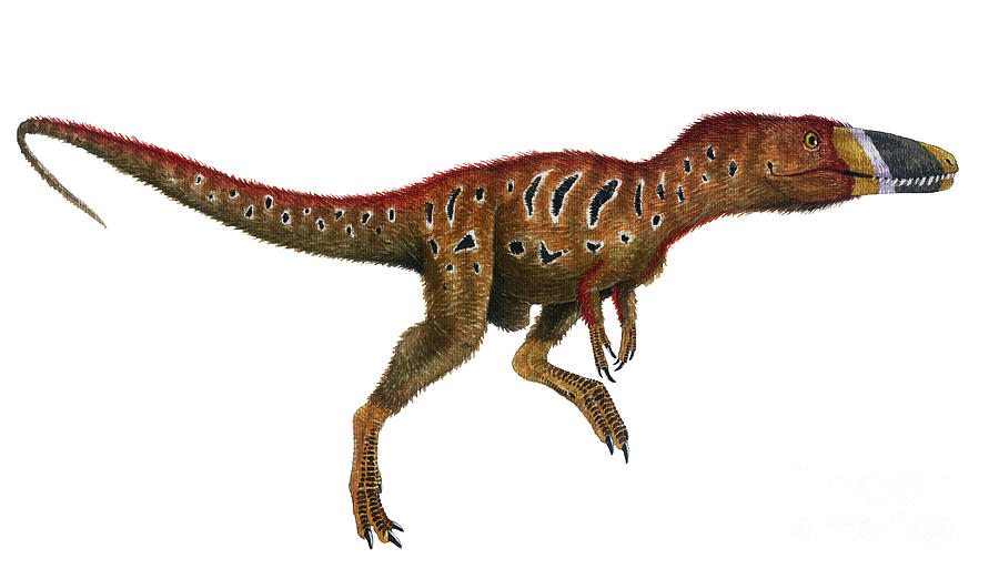 Dinosaur Digital Art - Watercolor Painting Of Xiongguanlong by Vladimir Nikolov