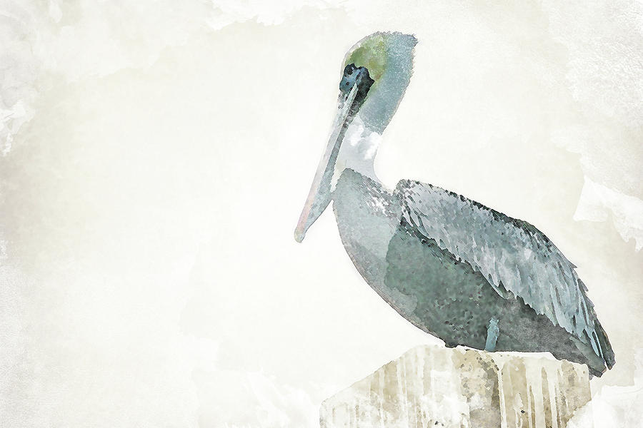 Pelican Painting - Watercolor Pelican by Lisa Hill Saghini