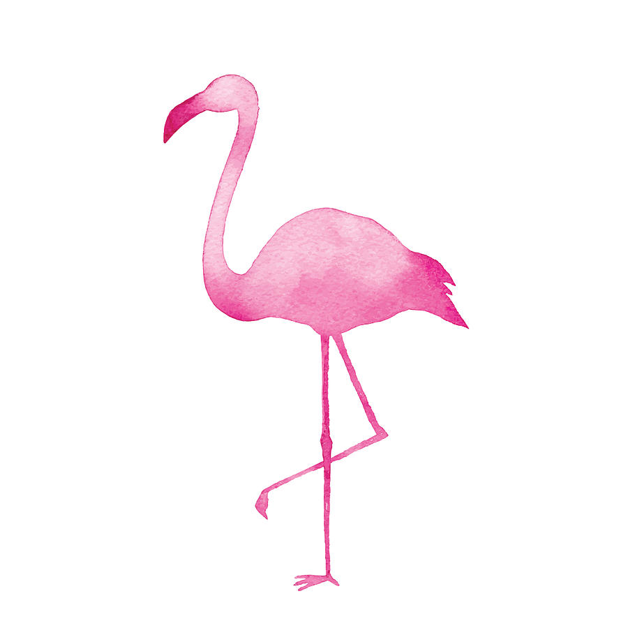 Watercolor Pink Flamingo Drawing by Saemilee