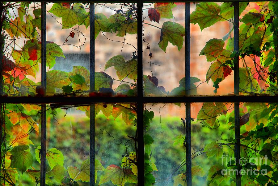 Watercolor Windows Photograph by Adam Jewell