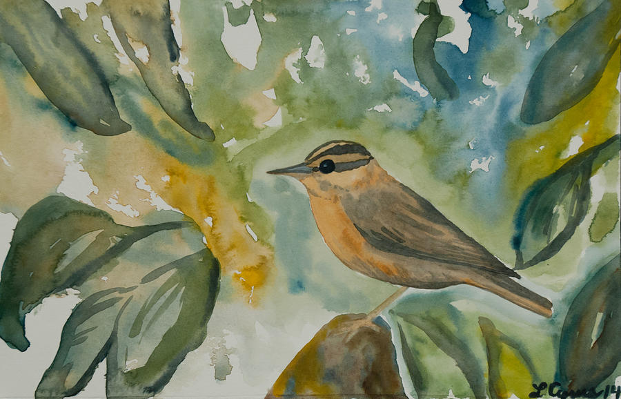 Watercolor - Worm-eating Warbler Painting by Cascade Colors