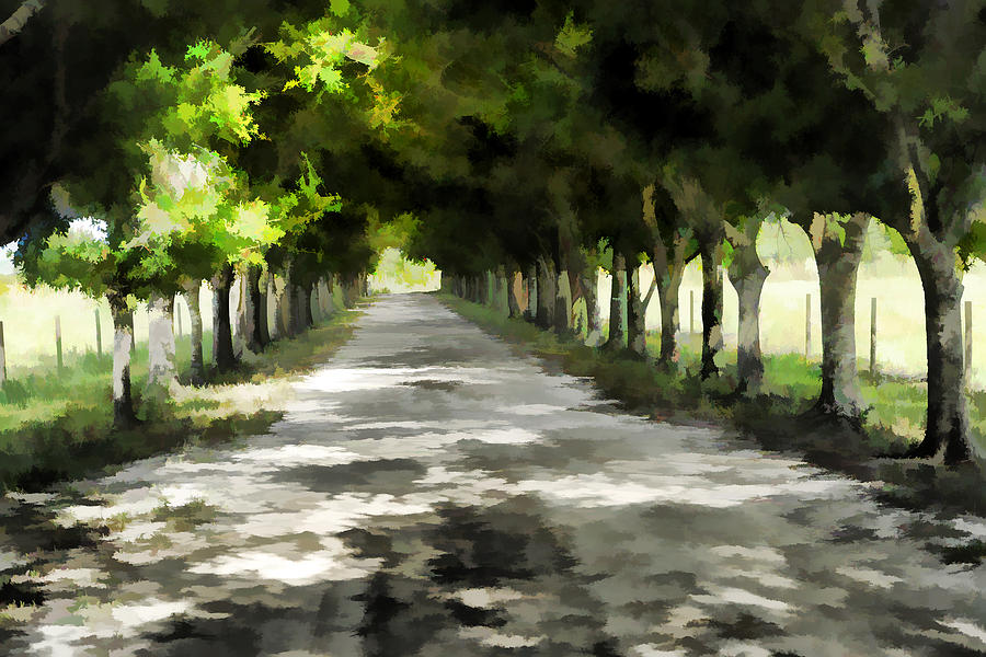 Watercolored driveway Photograph by Keith Lovejoy