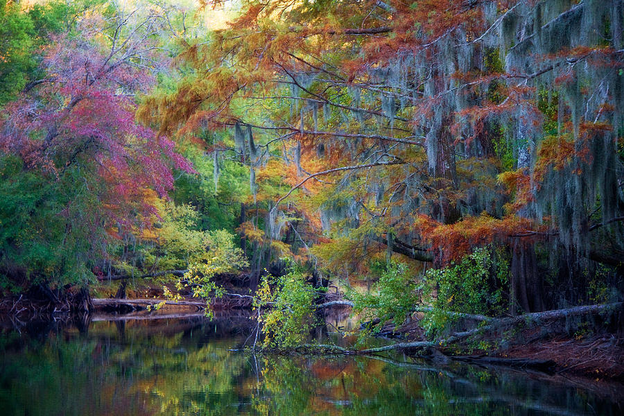 Fall Photograph - Watercolors by Lana Trussell