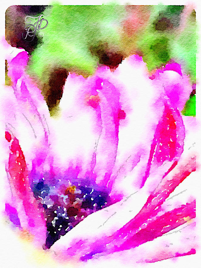 Daisy Photograph - Watercolour daisy by Raewyn Forbes