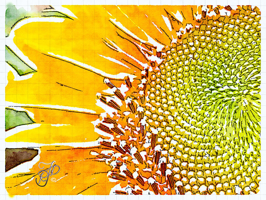 Waterlogue Photograph - Watercolour sunflower by Raewyn Forbes