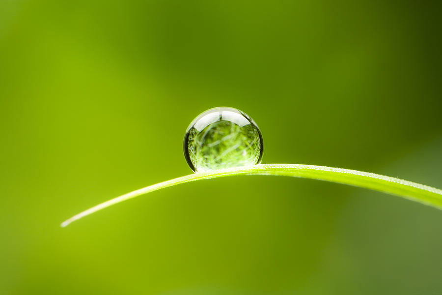 Waterdrop.  Water Drop Leaf Environmental Conservation Balance Green Nature Photograph by ThomasVogel