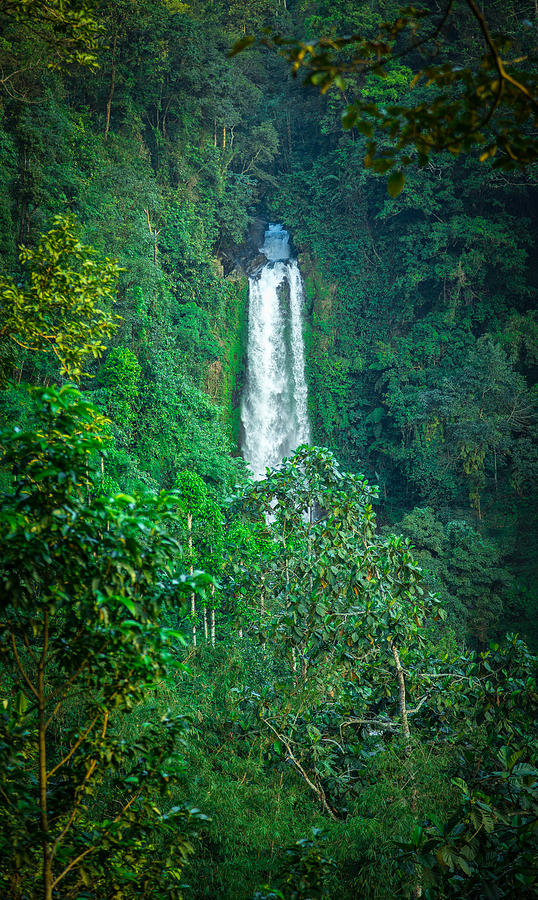 Waterfall - Bali Photograph by Matthew Onheiber
