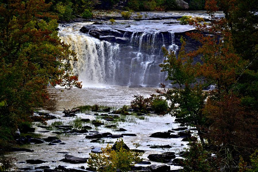 Waterfall along Little River Photograph by Tara Potts