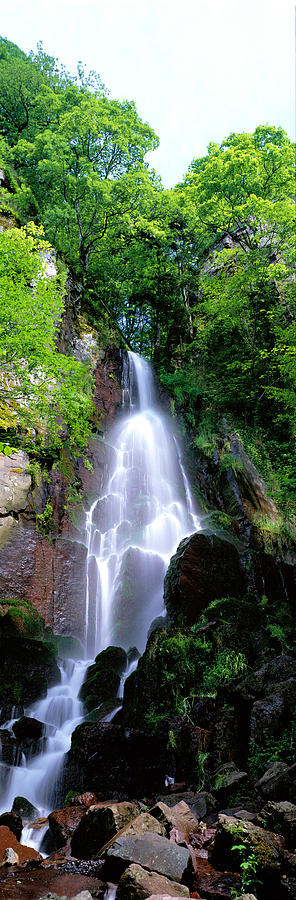 Tree Photograph - Waterfall Alsace France by Panoramic Images