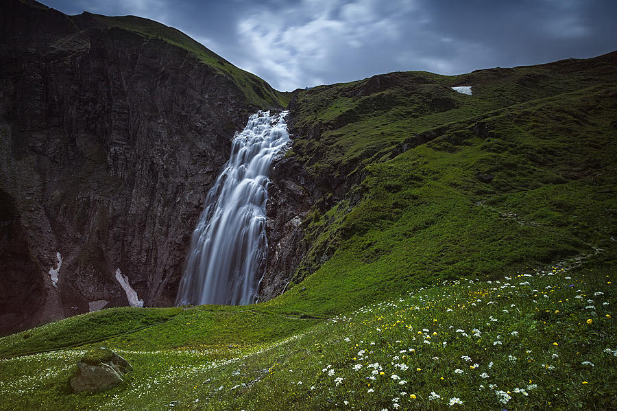 Waterfall and flowers Photograph by Dominique Dubied