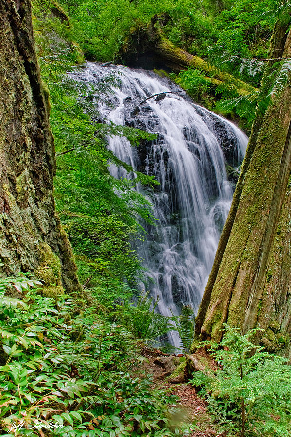 Waterfall and Green Vegetation Framed by Trees Photograph by Jeff Goulden