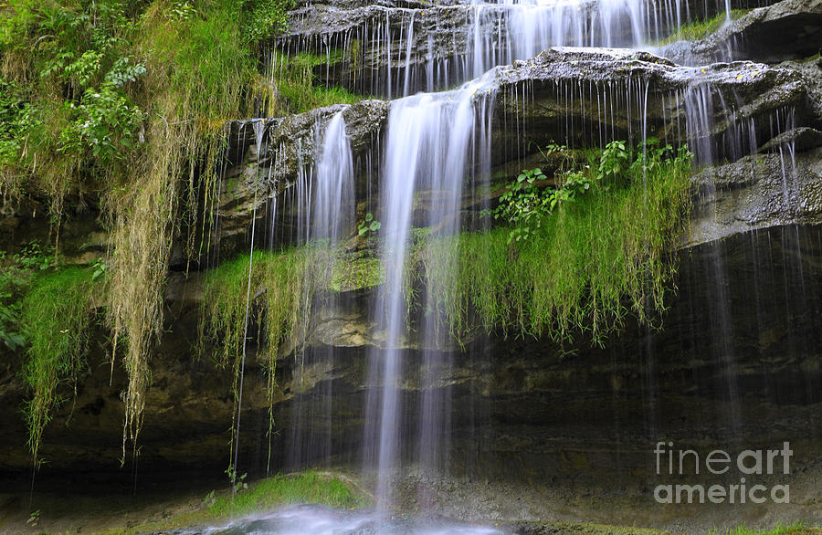Waterfall and Greenery Photograph by Charline Xia
