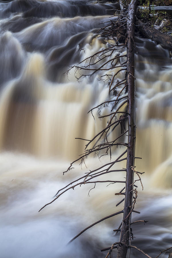Waterfall and Tree Long Exposure Photograph by John McGraw