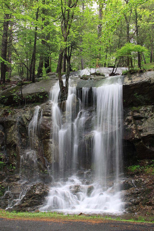 Waterfall Arden Valley Rd. Photograph by Gary Nedbal