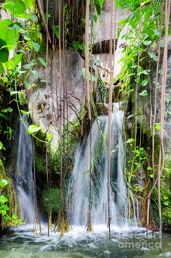 Rope Photograph - Waterfall at Aquarium of Americas in New Orleans by Kathleen K Parker